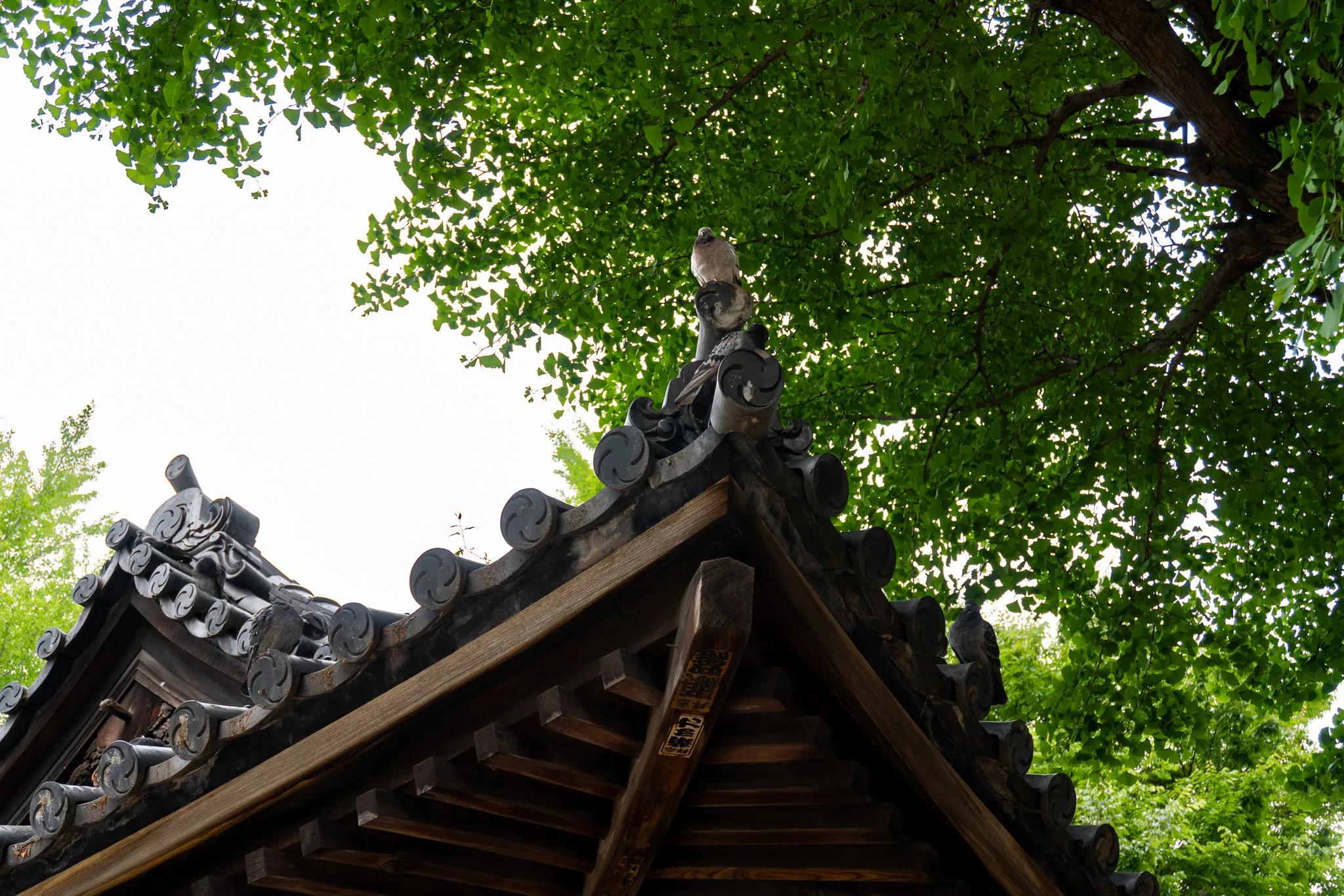 Eastern Capital: Tokyo