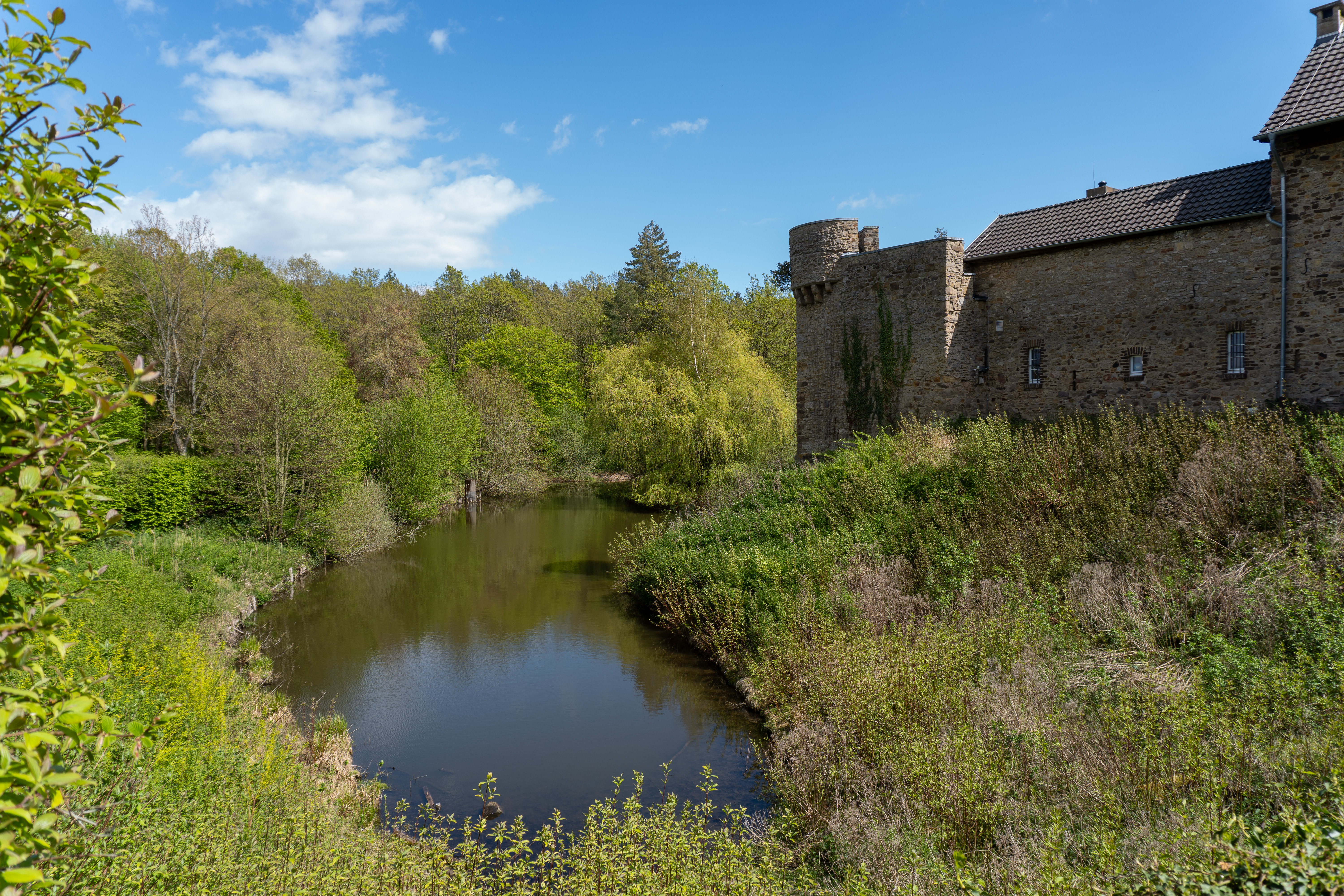 Hardburg Water Castle Ruins