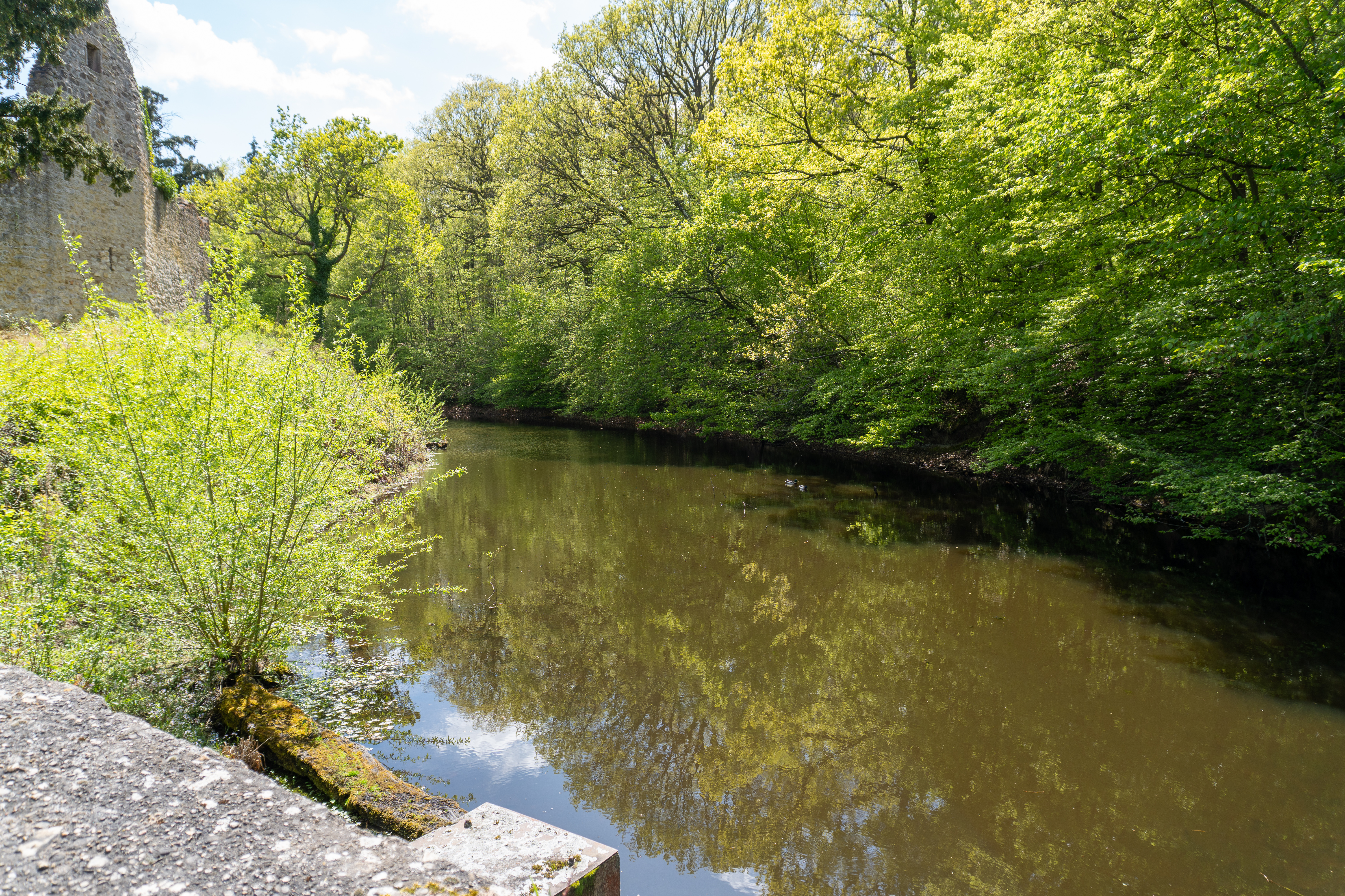 The castle complex consists of an outer bailey and a main keep, and, together with the surrounding moat, measures 155 × 107 meters. The curtain wall surrounding the entire complex, which is up to seven meters high but only 60 centimeters thick, spans 119 × 66 meters.